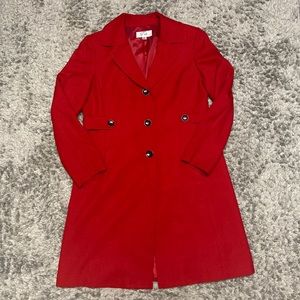 Long Winter Dress Coat